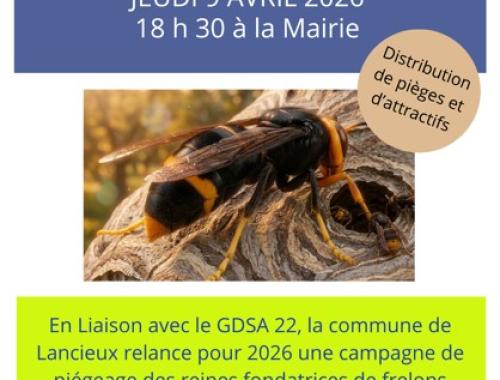 réunion information frelons