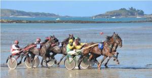 Course hippique Ploubalay et Lancieux