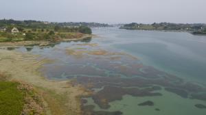 Découvrir la baie de Lancieux