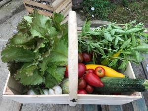 panier amap lancieux